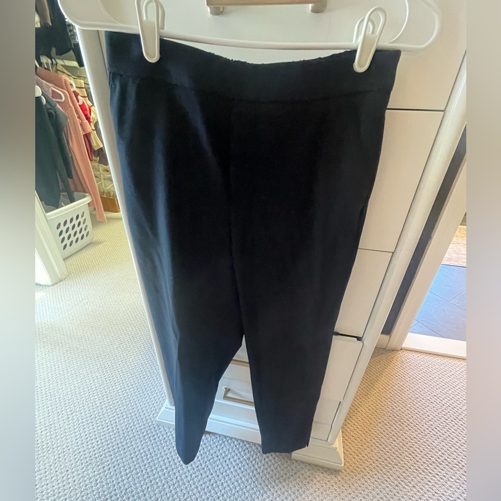 Banana Republic Navy Hayden Pants